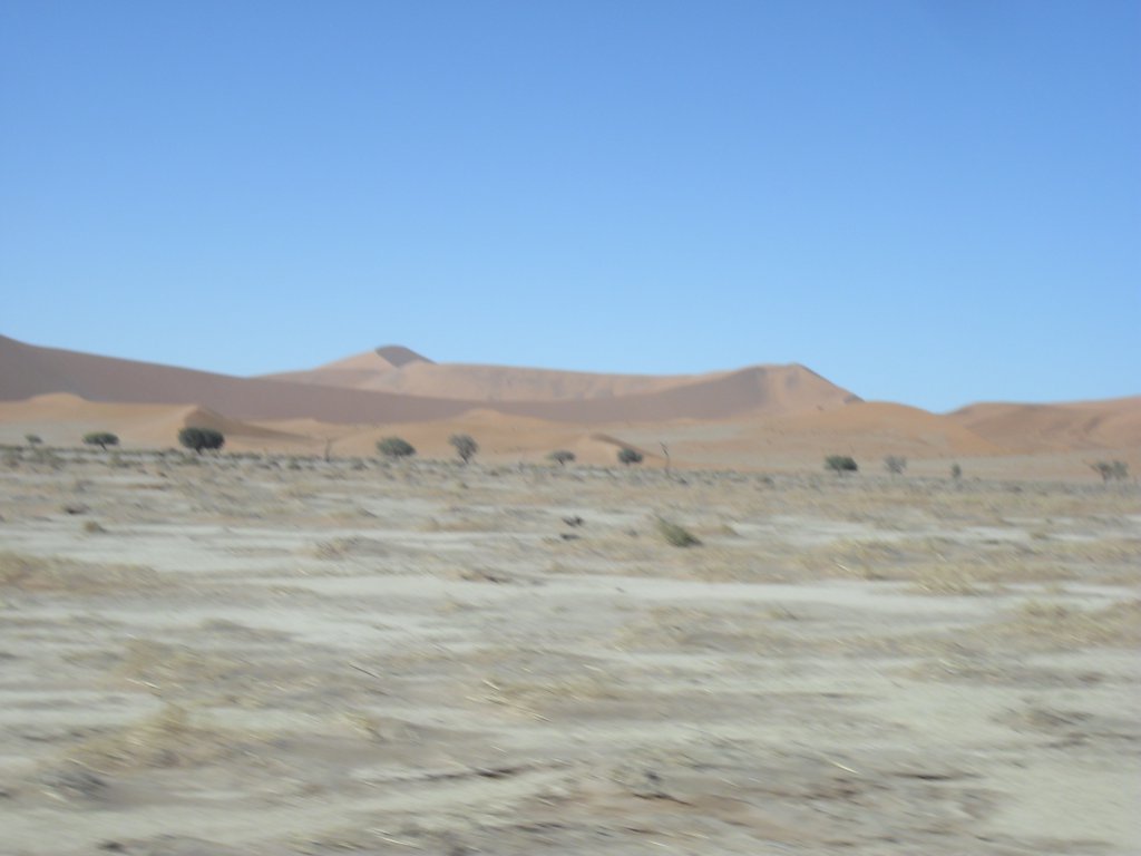 Image CIMG8834.JPG