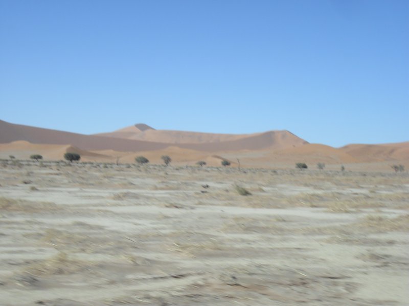Image CIMG8834.JPG