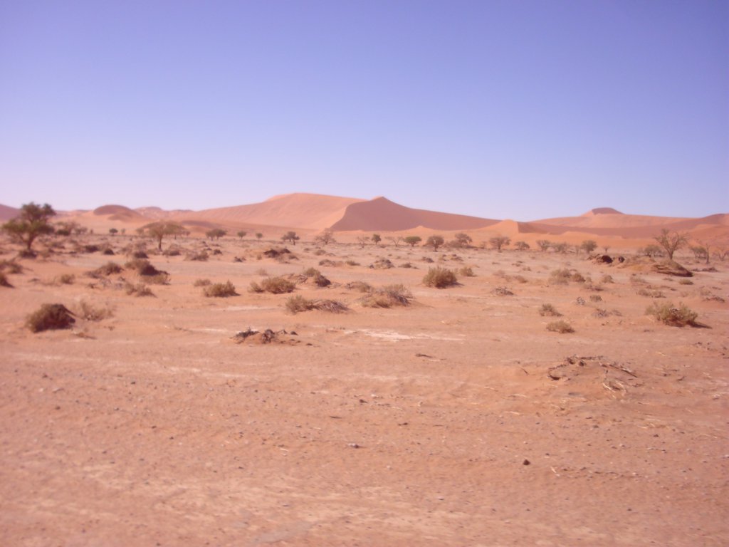 Image CIMG8836.JPG