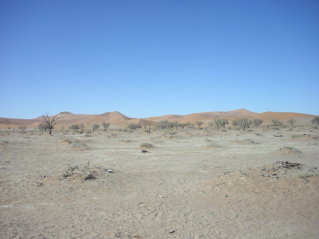 Image CIMG8837.JPG
