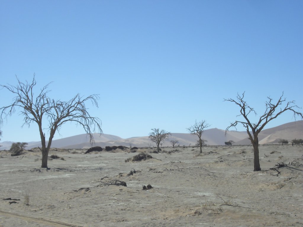 Image CIMG8839.JPG