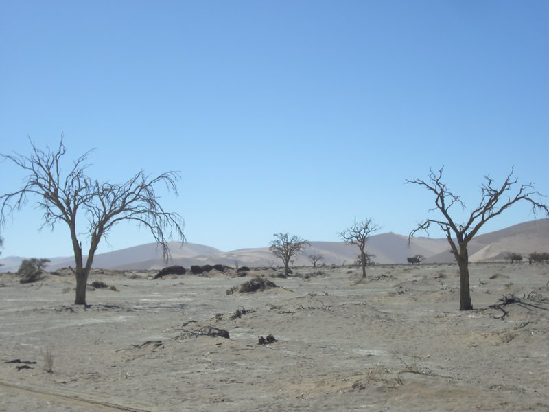 Image CIMG8839.JPG