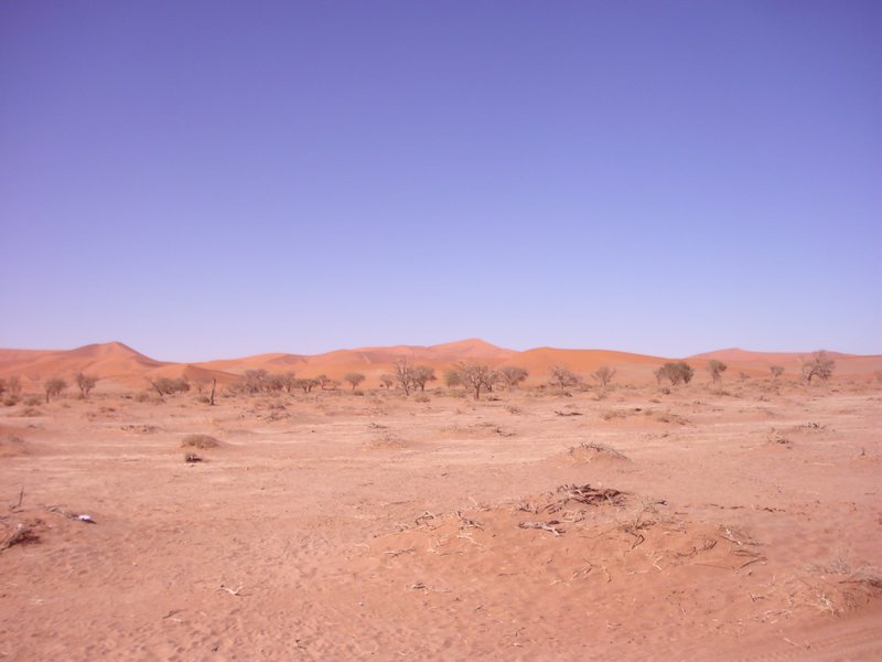 Image CIMG8840.JPG