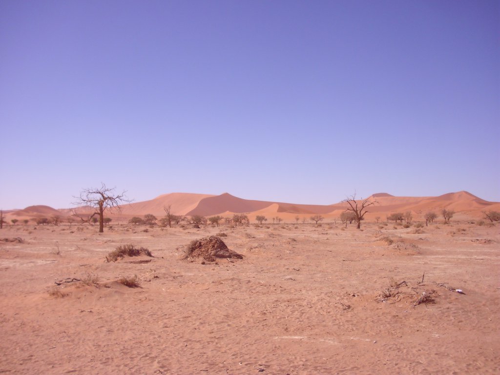 Image CIMG8841.JPG