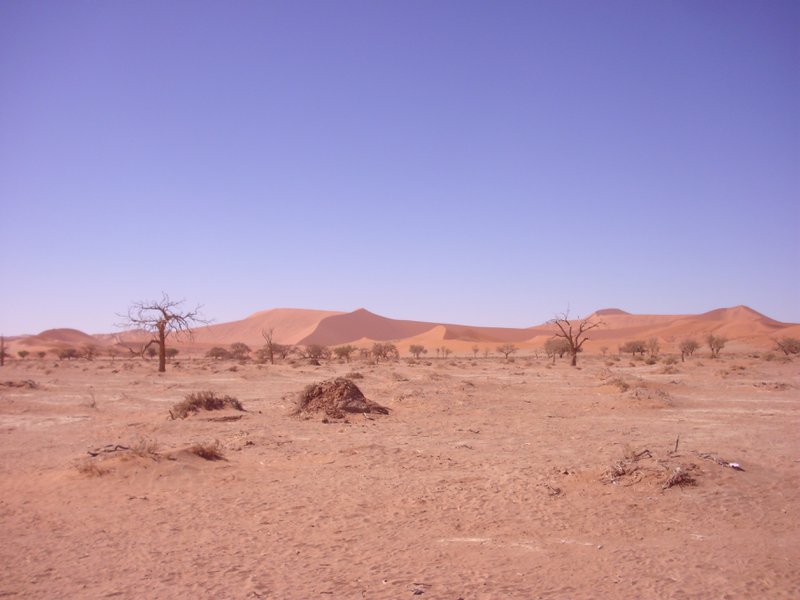 Image CIMG8841.JPG