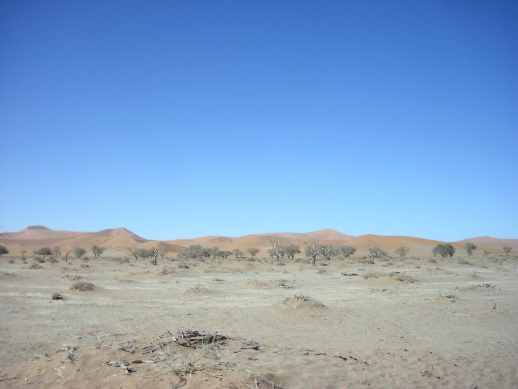 Image CIMG8842.JPG