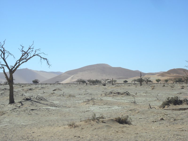 Image CIMG8843.JPG