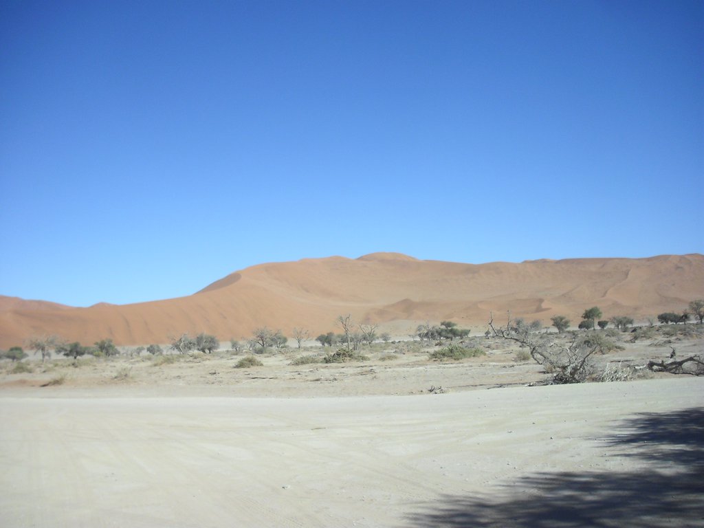 Image CIMG8844.JPG