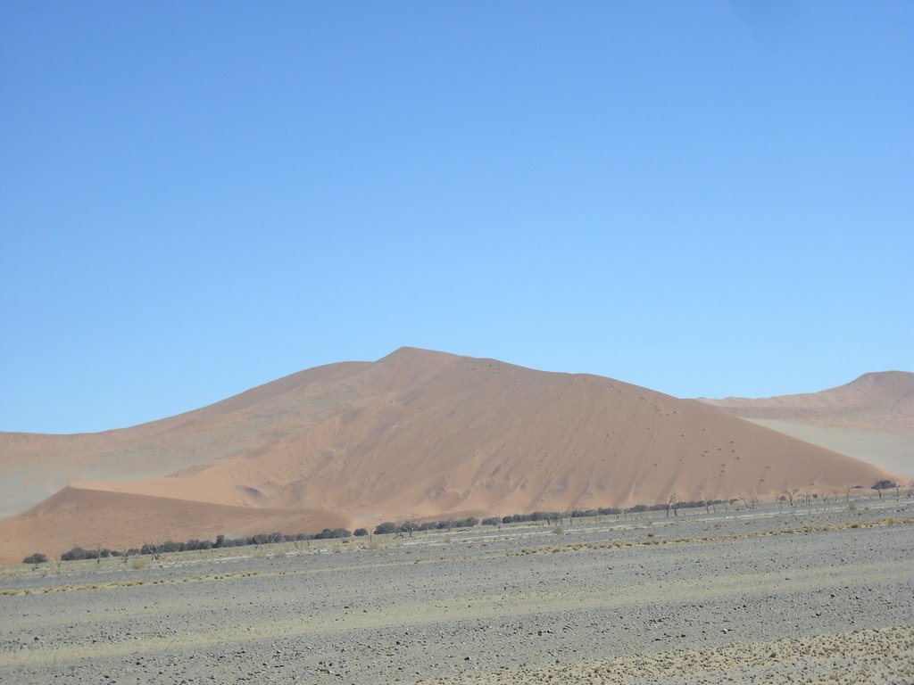 Image CIMG8847.JPG