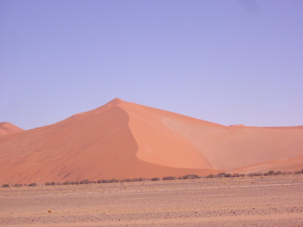 Image CIMG8849.JPG