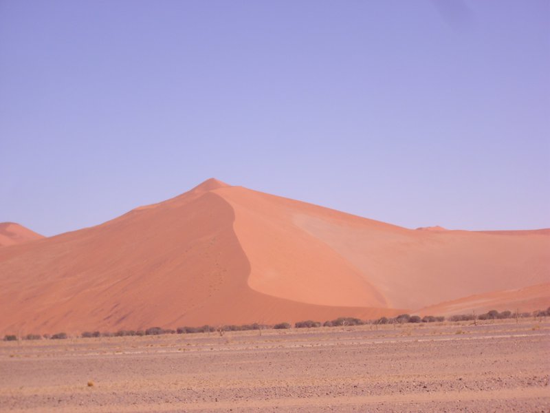 Image CIMG8849.JPG
