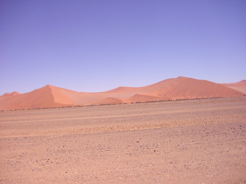 Image CIMG8850.JPG