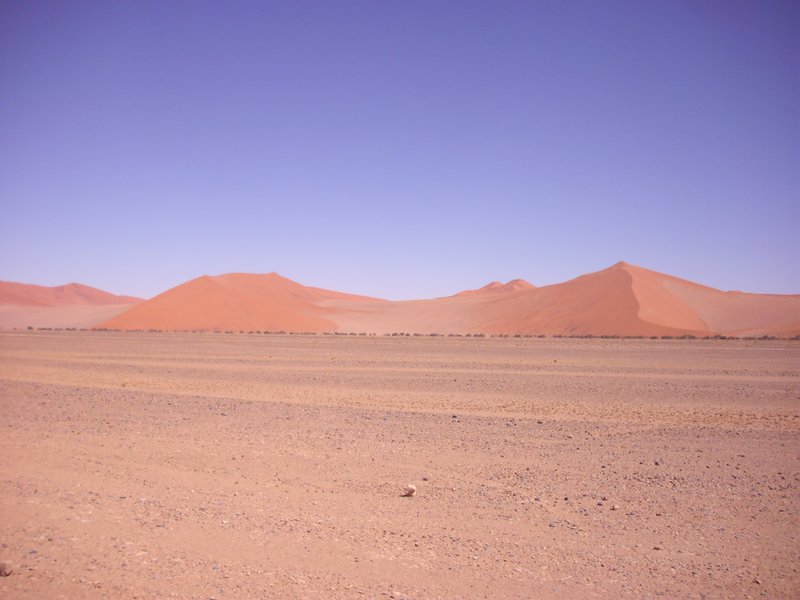 Image CIMG8851.JPG