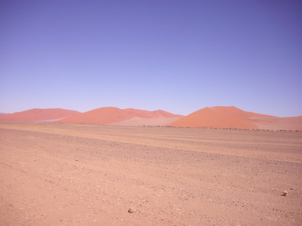 Image CIMG8852.JPG