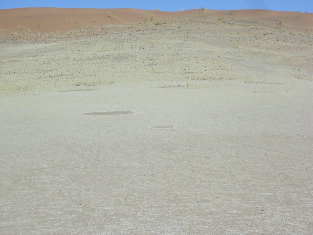 Image CIMG8853.JPG