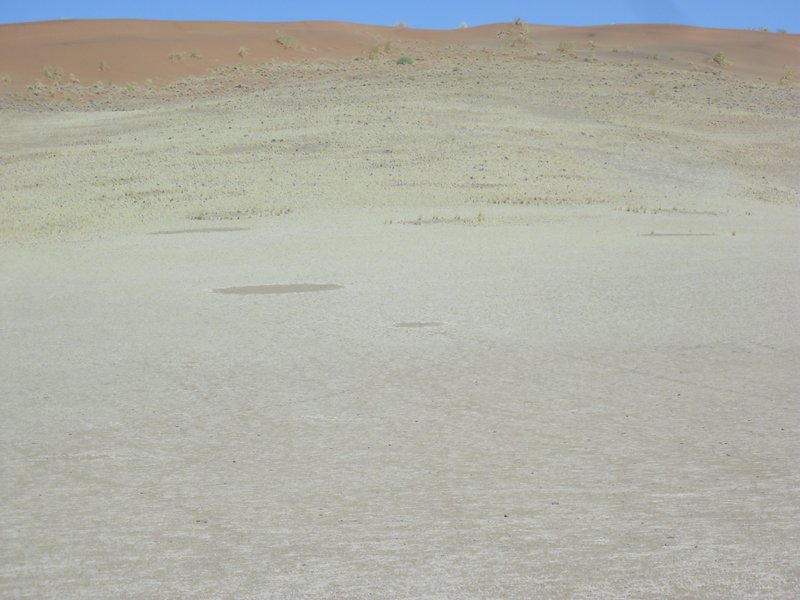 Image CIMG8853.JPG