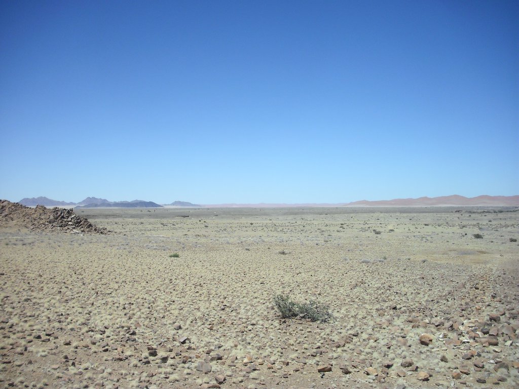 Image CIMG8858.JPG
