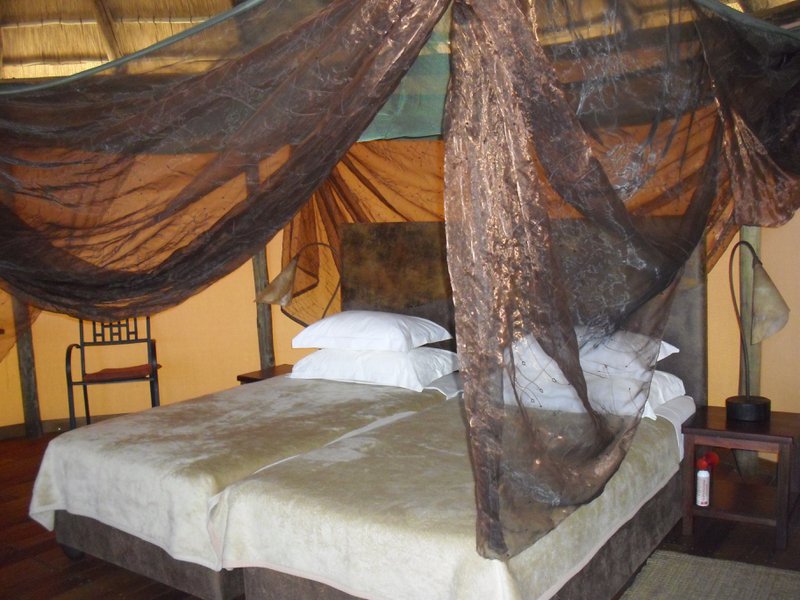 Image CIMG8860.JPG