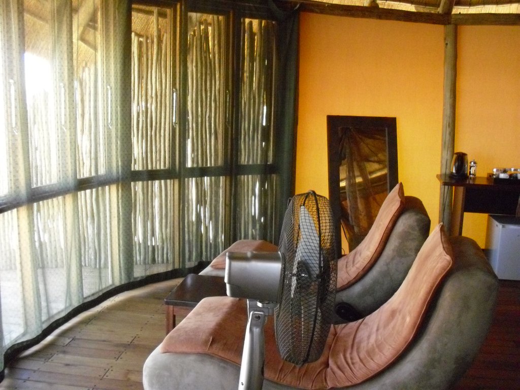 Image CIMG8861.JPG