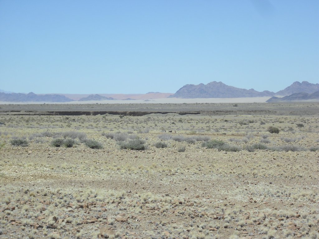 Image CIMG8863.JPG