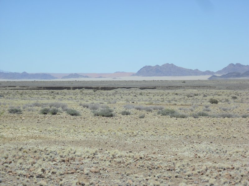 Image CIMG8863.JPG