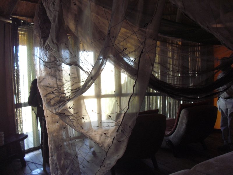 Image CIMG8865.JPG