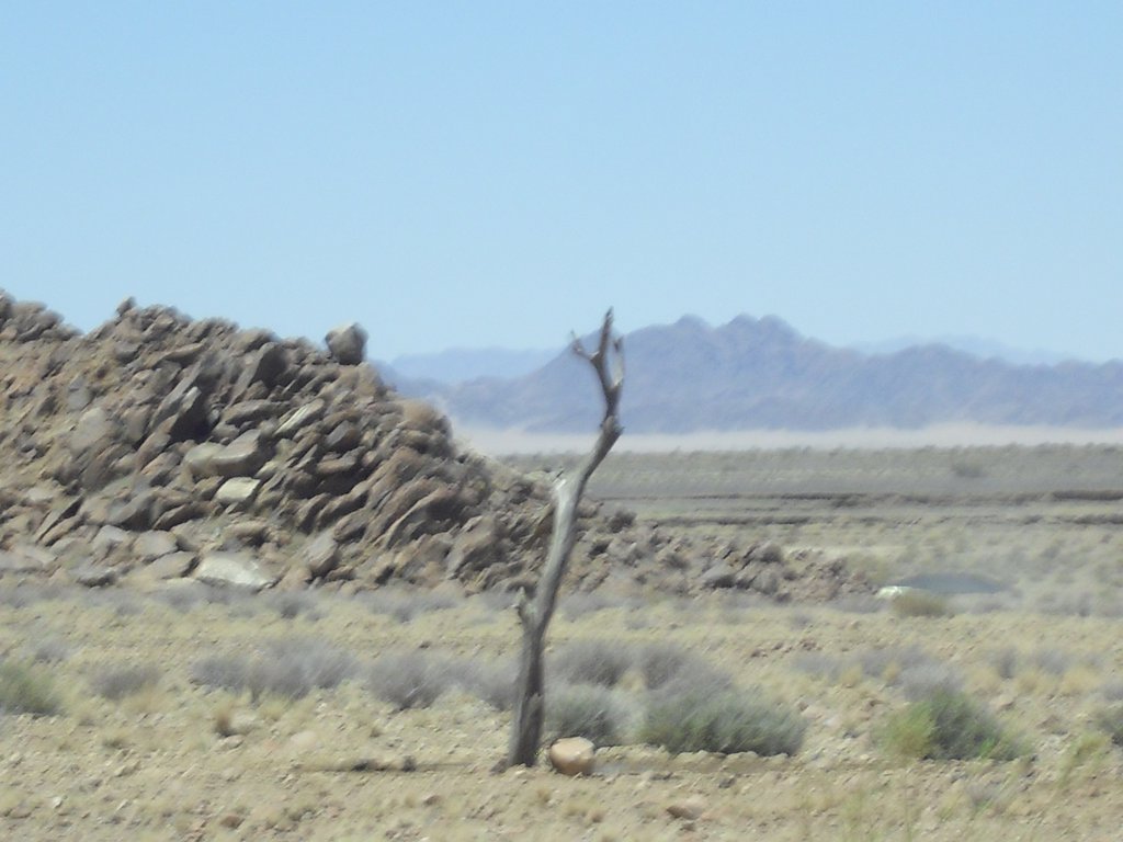 Image CIMG8867.JPG