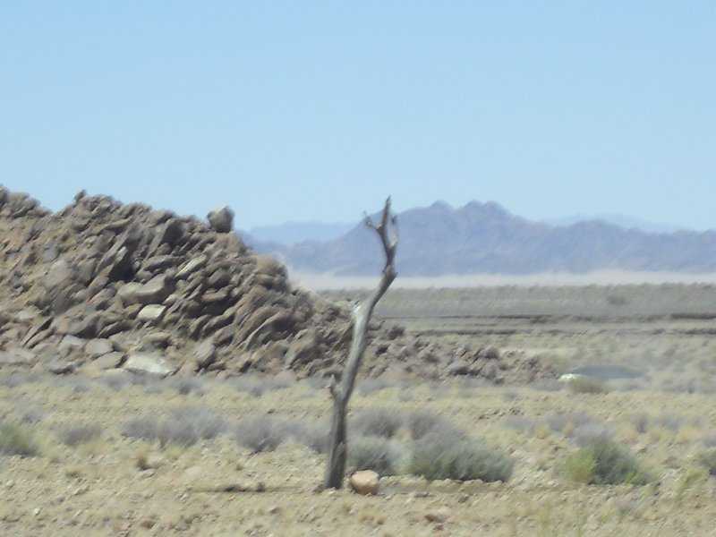 Image CIMG8867.JPG