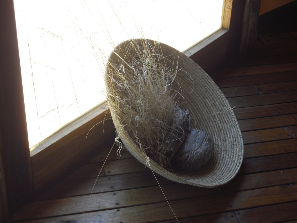 Image CIMG8870.JPG