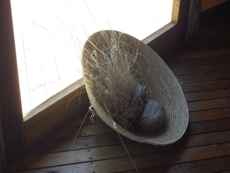 Image CIMG8870.JPG