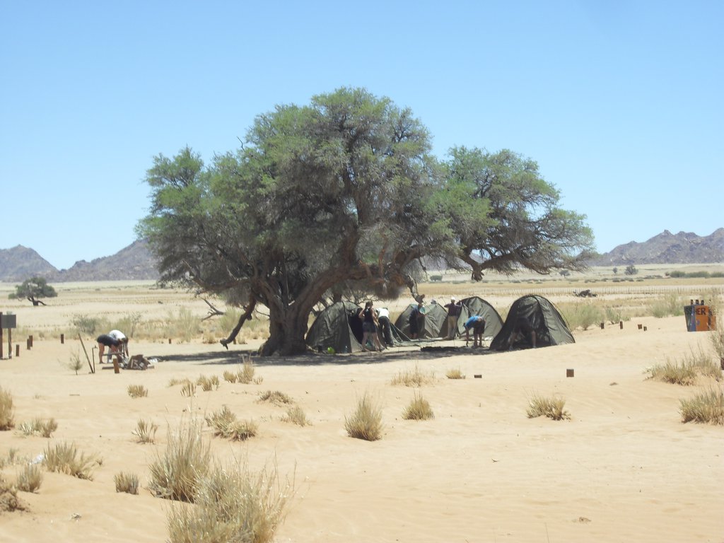 Image CIMG8872.JPG