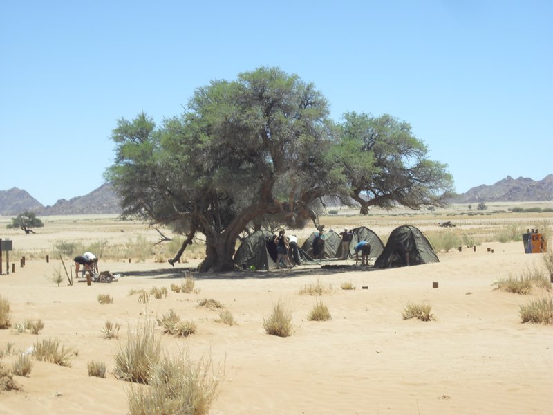 Image CIMG8872.JPG