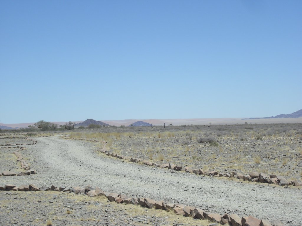 Image CIMG8881.JPG