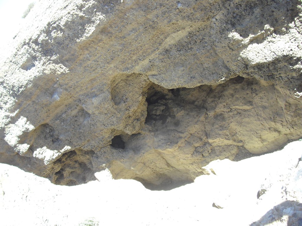 Image CIMG8887.JPG