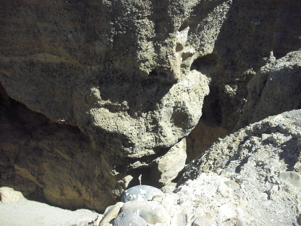Image CIMG8888.JPG