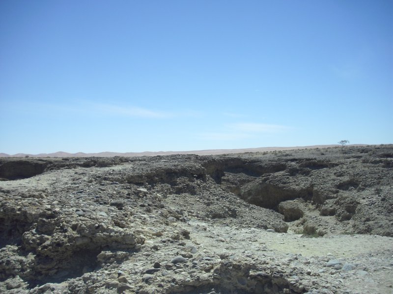 Image CIMG8890.JPG