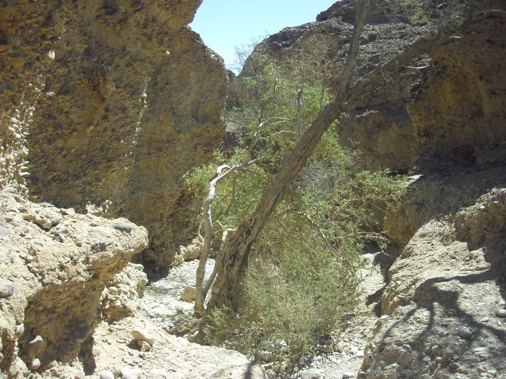 Image CIMG8892.JPG