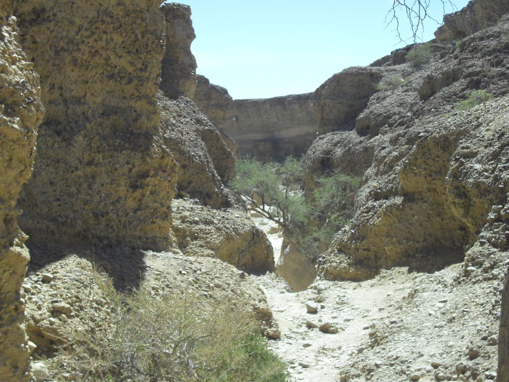 Image CIMG8894.JPG