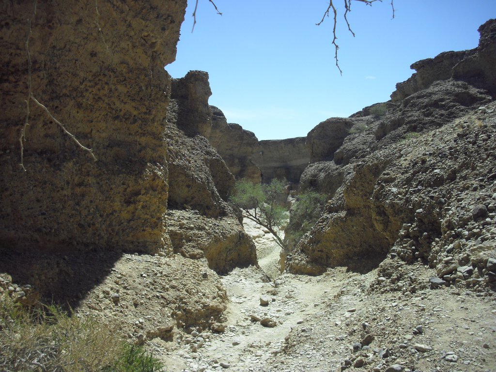 Image CIMG8895.JPG