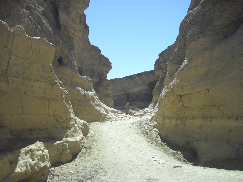Image CIMG8896.JPG