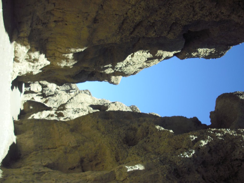 Image CIMG8899.JPG