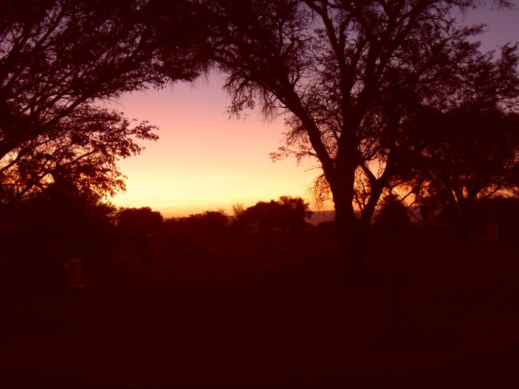 Image CIMG8911.JPG