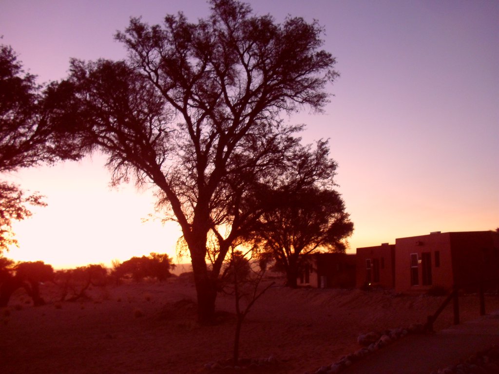 Image CIMG8912.JPG