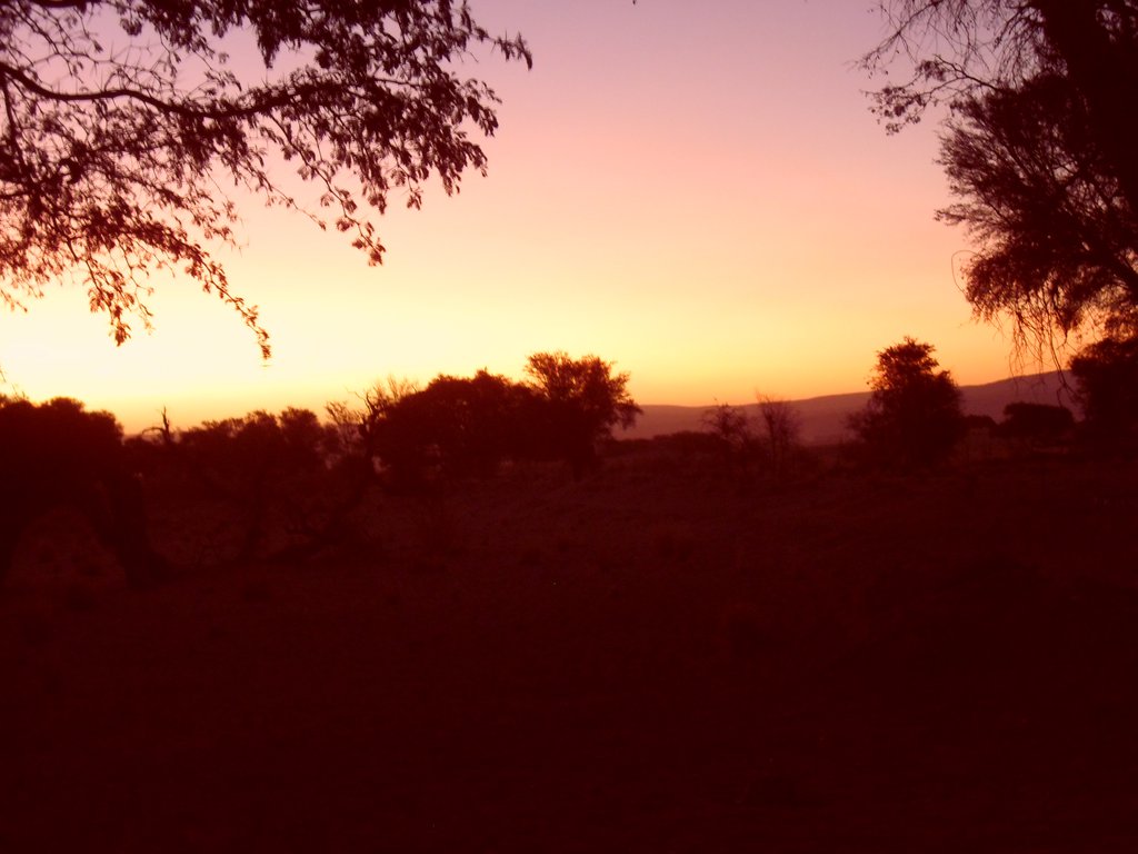 Image CIMG8913.JPG