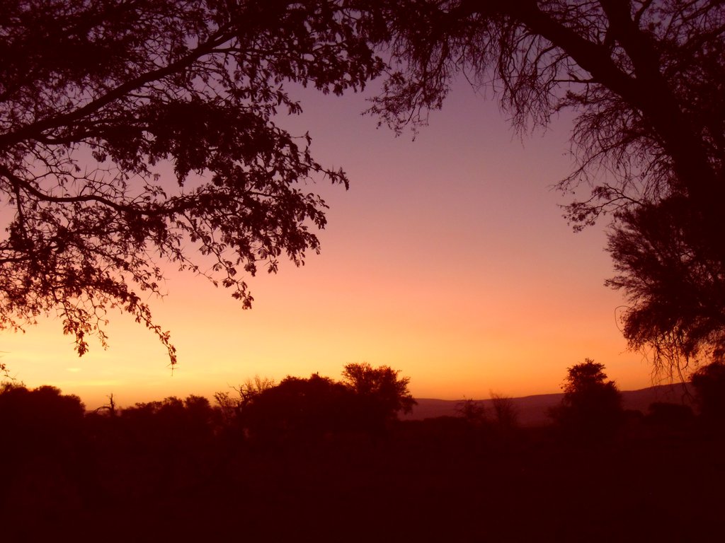 Image CIMG8914.JPG