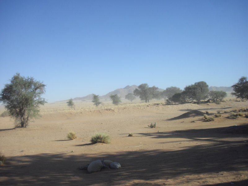 Image CIMG8920.JPG