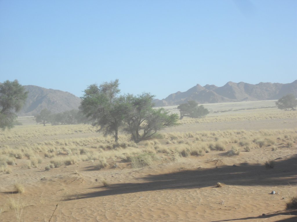 Image CIMG8922.JPG