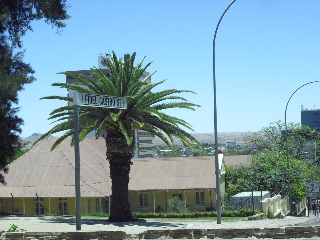 Image CIMG8925.JPG