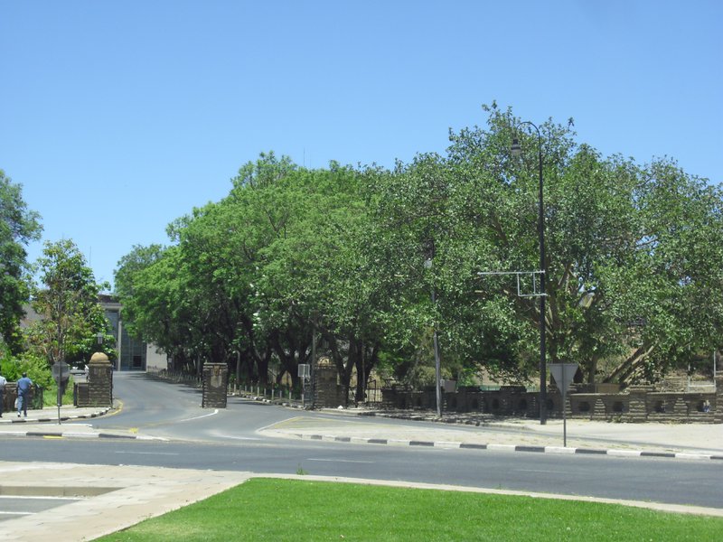 Image CIMG8927.JPG