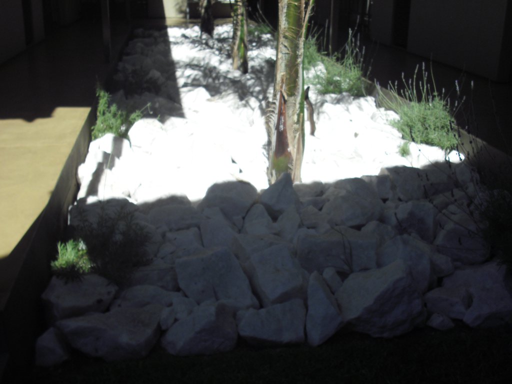 Image CIMG8939.JPG